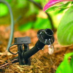Get a drip line installed by our Desoto Irrigation Repair team today