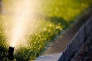 we adjust sprinkler heads so they water the lawn, not the street